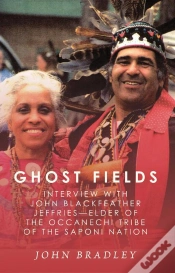 Capa do artigo Ghost Fields