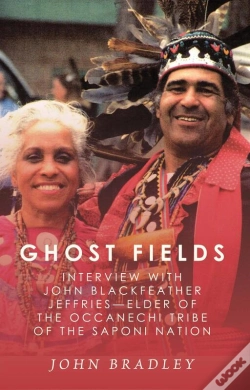 Capa do artigo Ghost Fields