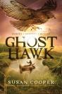 Ghost Hawk - Preview