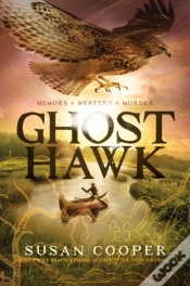 Capa do artigo Ghost Hawk