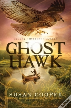 Capa do artigo Ghost Hawk