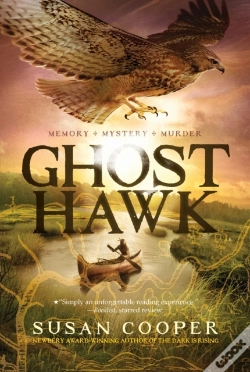 Capa do artigo Ghost Hawk