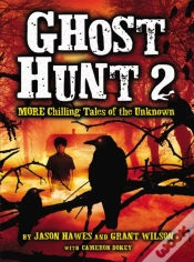Capa do artigo Ghost Hunt 2