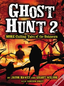 Capa do artigo Ghost Hunt 2