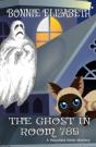 Ghost In Room 785 - Preview