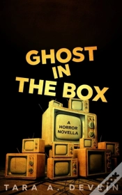 Capa do artigo Ghost In The Box