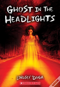 Capa do artigo Ghost In The Headlights
