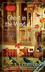Capa do artigo Ghost In The Wind