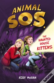 Capa do artigo Ghost Kittens 2