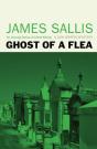 Ghost Of A Flea - Preview