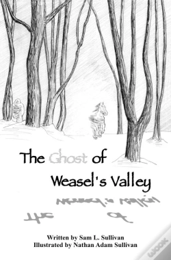 Capa do artigo Ghost Of Weasel'S Valley
