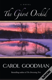 Capa do artigo Ghost Orchid