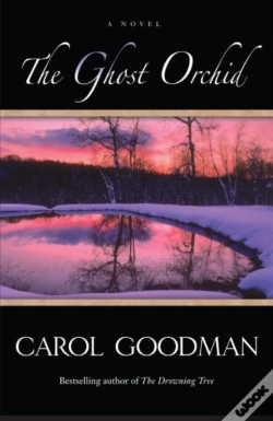 Capa do artigo Ghost Orchid
