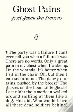 Capa do artigo Ghost Pains