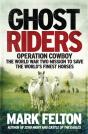 Ghost Riders - Preview