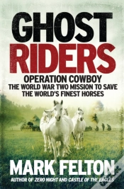 Capa do artigo Ghost Riders