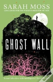 Capa do artigo Ghost Wall