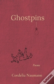 Capa do artigo Ghostpins
