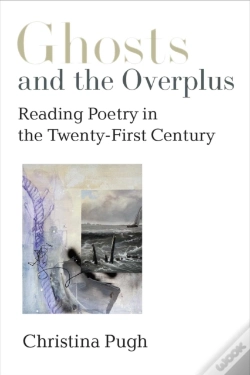 Capa do artigo Ghosts And The Overplus