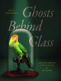 Ghosts Behind Glass - Preview
