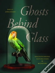 Capa do artigo Ghosts Behind Glass