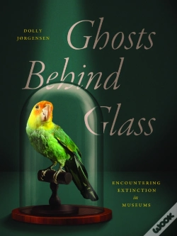 Capa do artigo Ghosts Behind Glass