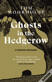 Capa do artigo Ghosts In The Hedgerow