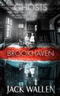 Ghosts Of Brookhaven - Preview