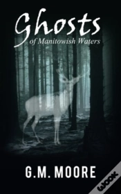 Capa do artigo Ghosts Of Manitowish Waters