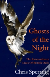 Capa do artigo Ghosts Of The Night