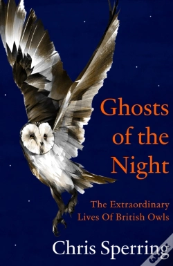 Capa do artigo Ghosts Of The Night