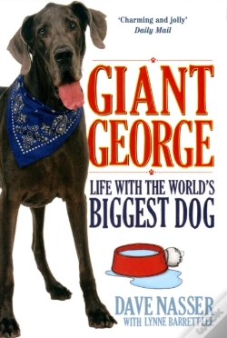 Capa do artigo Giant George