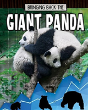 Giant Panda - Preview