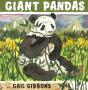 Giant Pandas - Preview