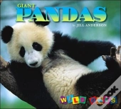 Giant Pandas