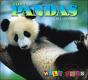 Giant Pandas - Preview