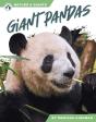 Giant Pandas - Preview