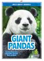 Giant Pandas - Preview