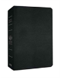 Giant Print Bible-Mev - Preview