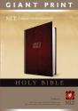 Giant Print Bible-Nlt - Preview