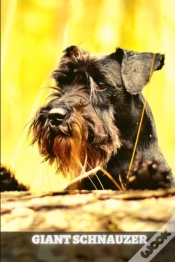 Capa do artigo Giant Schnauzer