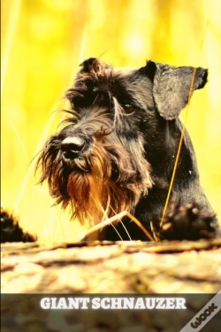 Capa do artigo Giant Schnauzer