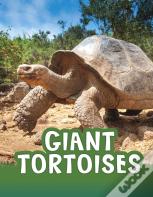 Giant Tortoises