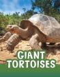 Giant Tortoises - Preview