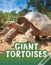 Capa do artigo Giant Tortoises