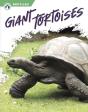 Giant Tortoises - Preview