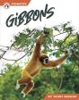 Gibbons - Preview