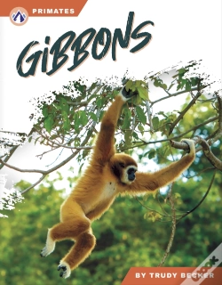 Capa do artigo Gibbons