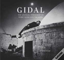 Capa do artigo Gidal