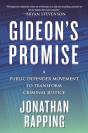 Gideon'S Promise - Preview